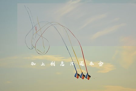 加上利息只还本金 加上利息只还本金