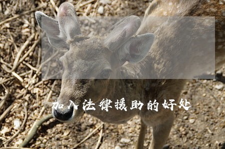加入法律援助的好处