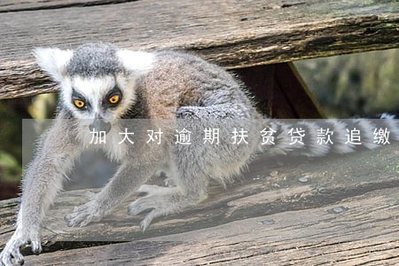加大对逾期扶贫贷款追缴力度 加大对逾期扶贫贷款追缴力度