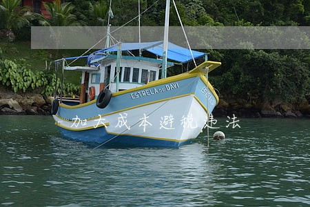 加大成本避税违法 加大成本避税违法