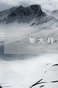 加大打击车险违规违法行为力度
