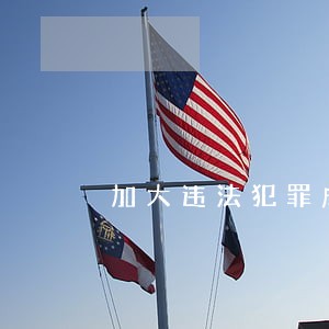 加大违法犯罪成本