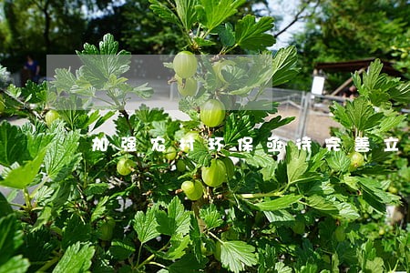加强农村环保亟待完善立法机制 加强农村环保亟待完善立法机制