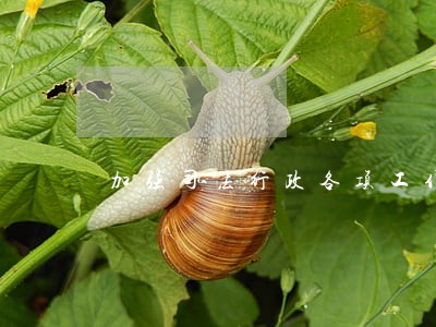 加强司法行政各项工作 加强司法行政各项工作