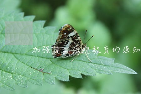 加强员工法规教育的通知 加强员工法规教育的通知