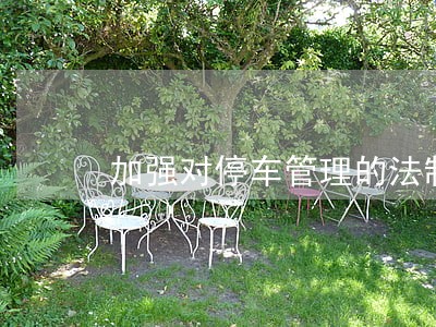 加强对停车管理的法制保障研究 加强对停车管理的法制保障研究