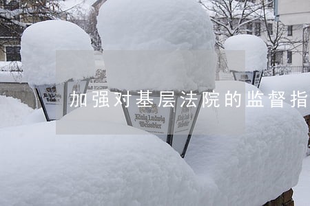 加强对基层法院的监督指导 加强对基层法院的监督指导