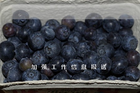 加强工作信息报送