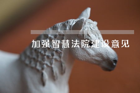 加强智慧法院建设意见