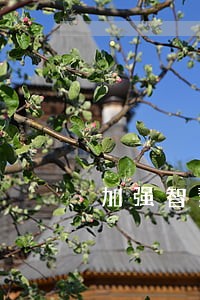加强智慧诉讼运用措施