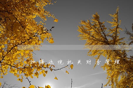 加强法院机关财务管理 加强法院机关财务管理