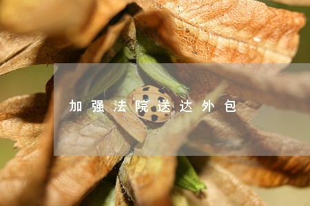 加强法院送达外包 加强法院送达外包