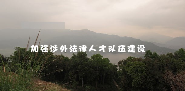 加强涉外法律人才队伍建设 加强涉外法律人才队伍建设