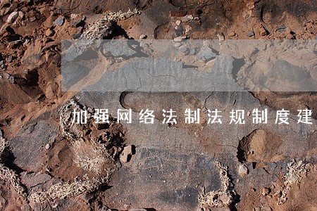 加强网络法制法规制度建设