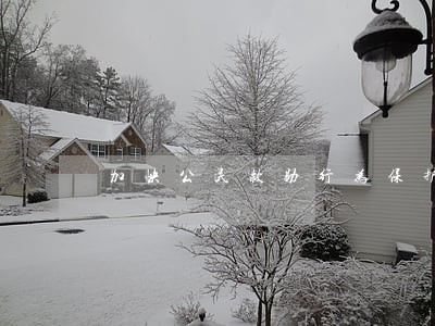 加快公民救助行为保护与促进立法 加快公民救助行为保护与促进立法