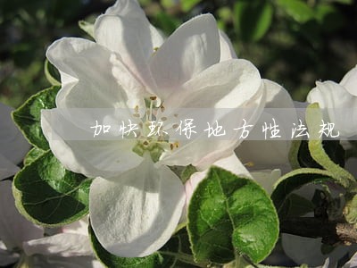 加快环保地方性法规 加快环保地方性法规