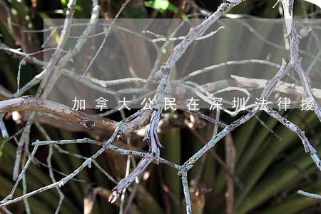 加拿大公民在深圳法律援助 加拿大公民在深圳法律援助