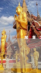 加拿大处置强奸罪 加拿大处置强奸罪