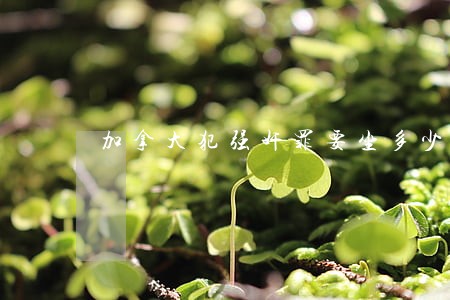 加拿大犯强奸罪要坐多少年牢 加拿大犯强奸罪要坐多少年牢