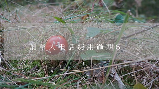 加拿大电话费用逾期6 加拿大电话费用逾期6