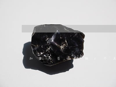 加拿大签证逾期6个月