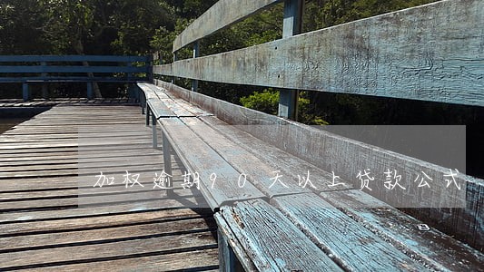 加权逾期90天以上贷款公式 加权逾期90天以上贷款公式