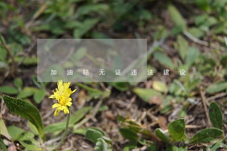 加油站无证违法建设 加油站无证违法建设