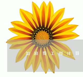 加班费工资计算法规 加班费工资计算法规
