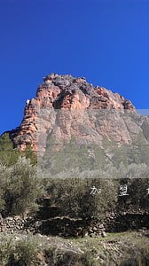 加盟奶茶店有哪些经济和法律关系 加盟奶茶店有哪些经济和法律关系
