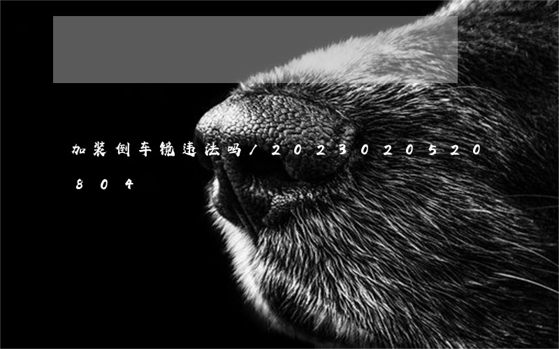 加装倒车镜违法吗/2023020520804