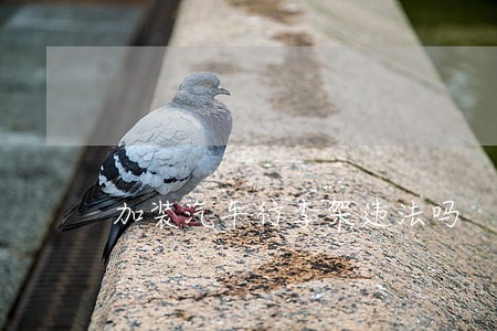 加装汽车行李架违法吗