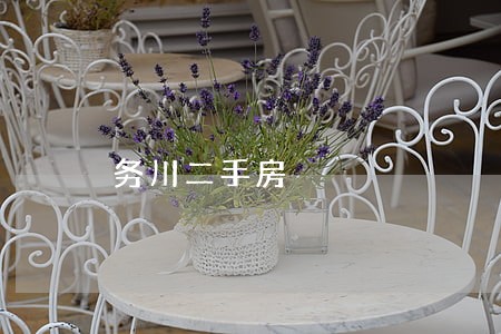 务川二手房 务川二手房
