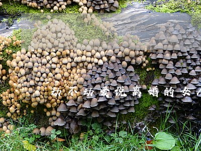 动不动爱说离婚的女人 动不动爱说离婚的女人