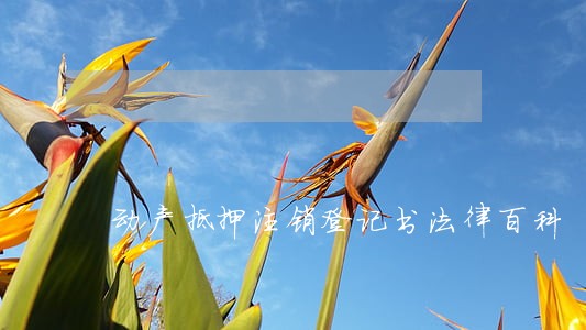 动产抵押注销登记书法律百科 动产抵押注销登记书法律百科