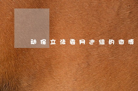 动保立法委网巡组的微博视频 动保立法委网巡组的微博视频