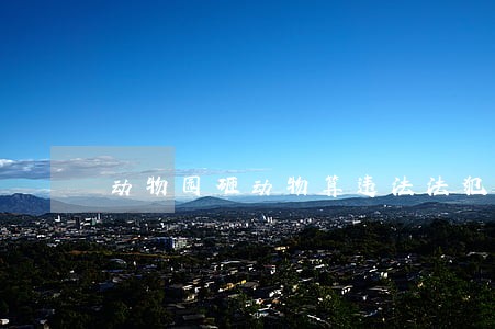 动物园砸动物算违法法犯罪吗 动物园砸动物算违法法犯罪吗