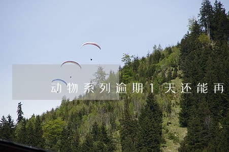 动物系列逾期1天还能再借款吗 动物系列逾期1天还能再借款吗