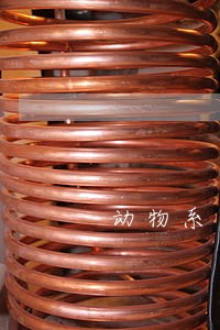 动物系可以只还本金