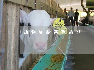动物贷款系列逾期 动物贷款系列逾期