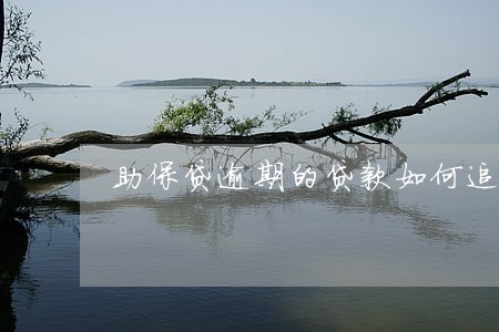 助保贷逾期的贷款如何追偿 助保贷逾期的贷款如何追偿