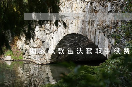 助农取款违法套取手续费 助农取款违法套取手续费