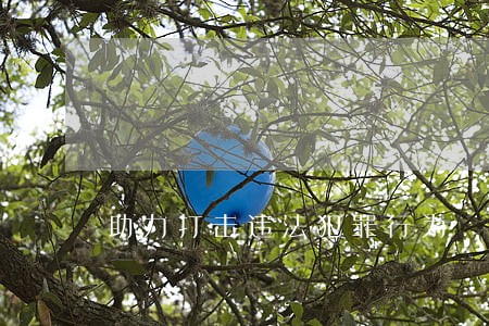 助力打击违法犯罪行为 助力打击违法犯罪行为