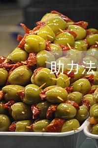 助力法治新疆建设 助力法治新疆建设