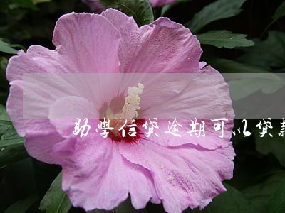 助学信贷逾期可以贷款买房吗 助学信贷逾期可以贷款买房吗