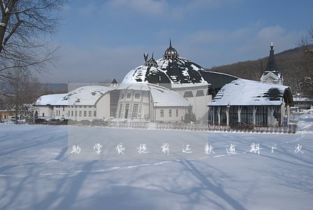 助学贷提前还款逾期5次怎么办