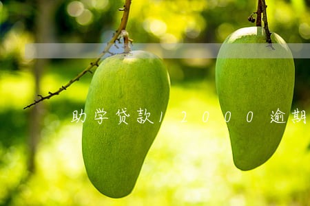 助学贷款12000逾期利息