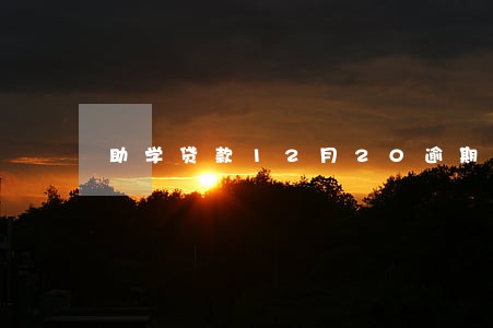 助学贷款12月20逾期 助学贷款12月20逾期
