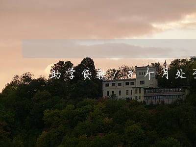 助学贷款18个月处于逾期 助学贷款18个月处于逾期