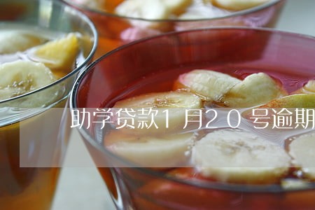 助学贷款1月20号逾期 助学贷款1月20号逾期