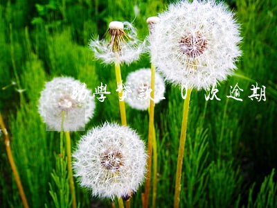 助学贷款20次逾期 助学贷款20次逾期